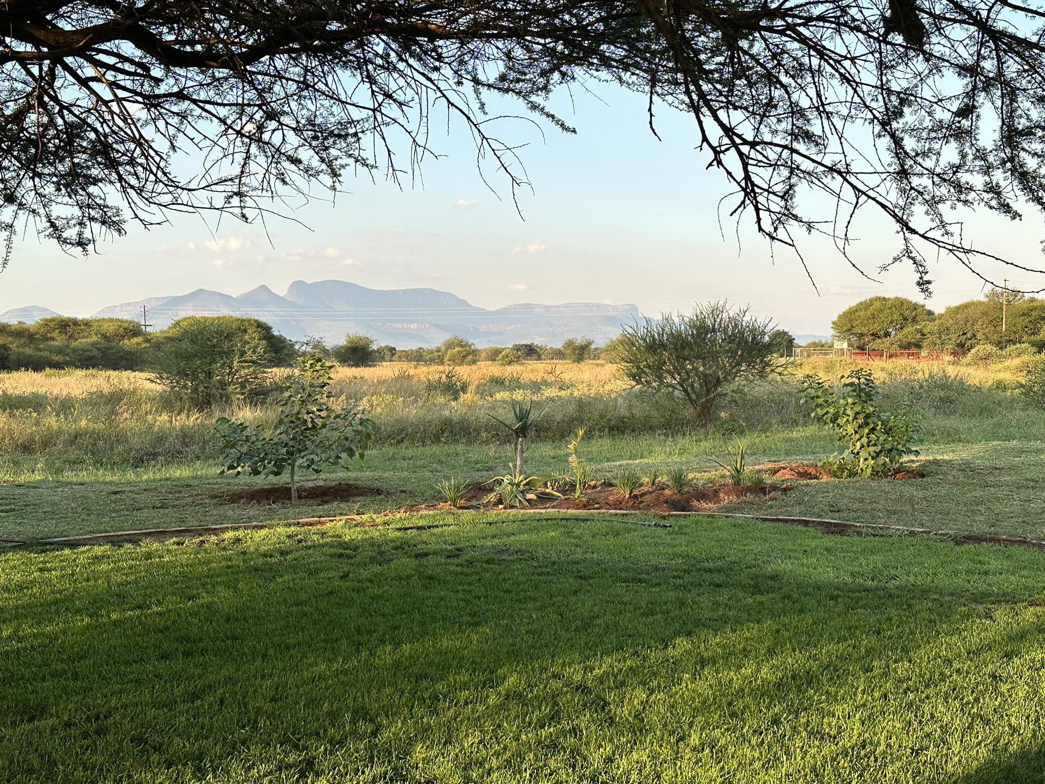 Lawn in front of Double Rooms